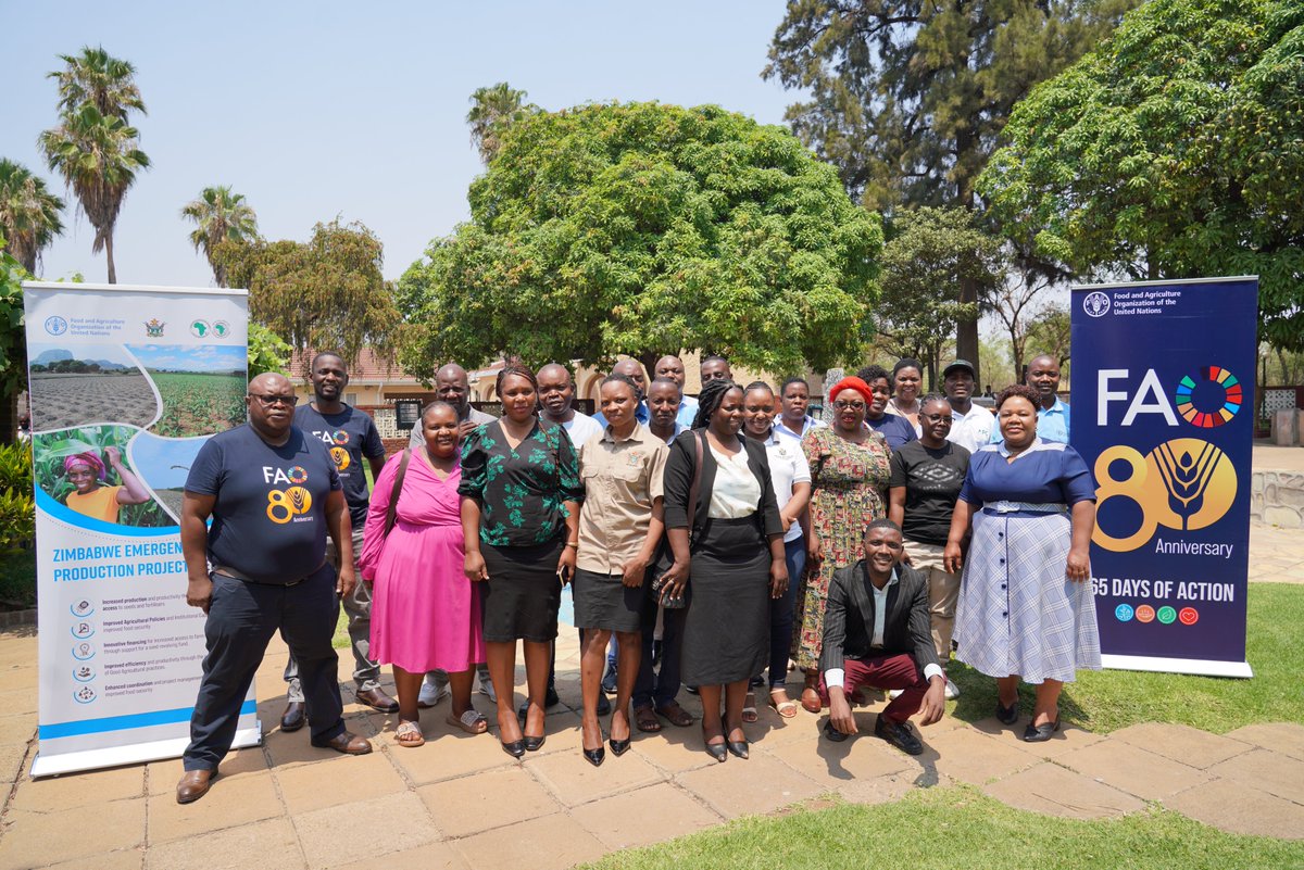 FAOZimbabwe's tweet photo. FAO and partners chart path to sustainability for @AfDB_Group funded Zimbabwe’s Emergency Food Production Project #ZEFPP
A critical step towards ensuring long-term impact, institutional ownership and resilience in Zimbabwe’s food systems. Learn more👉https://t.co/jCwrZvIbGq https://t.co/8Lwbs079Ni