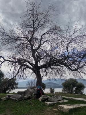 *- KESTİRME YOK! / YAŞAR EYİCE focagazete.com/kestirme-yok-y…