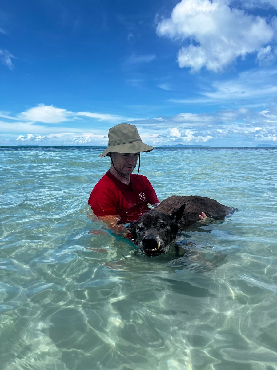 NiallHarbison's tweet image. I took the day to think about it as I’ve been feeling so rough. I will go ahead and run the marathon for @wearehappydoggo on the 15th November.

I made a couple of rules…

🏃‍♂️ I’ll just do a half Marathon and pull out at that stage if I’m struggling. That’s well within my reach.…