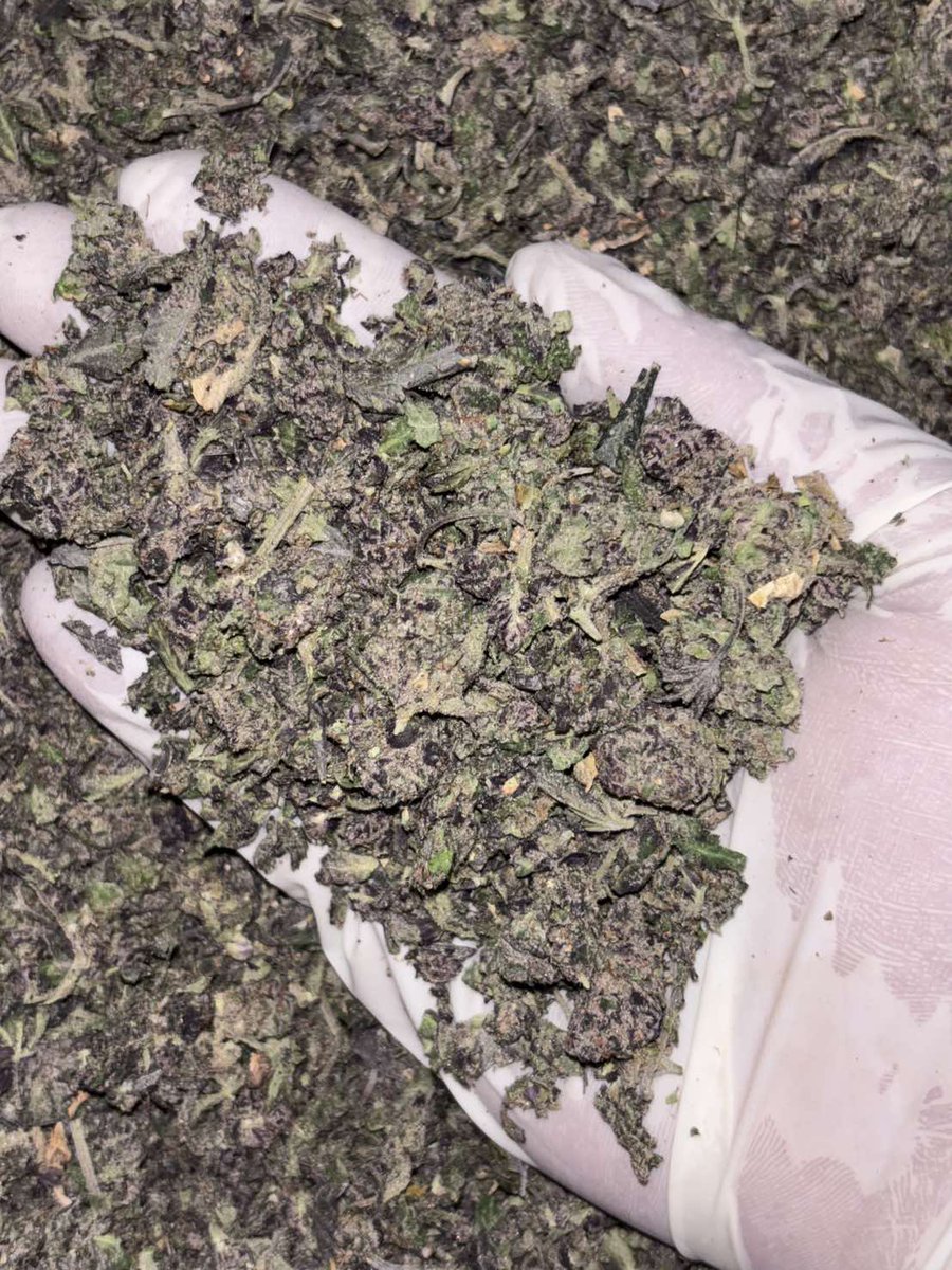 LIMITEDIII 🪽( สายเขียวของเข้าใหม่เพียบจ้า 🥦) tweet media