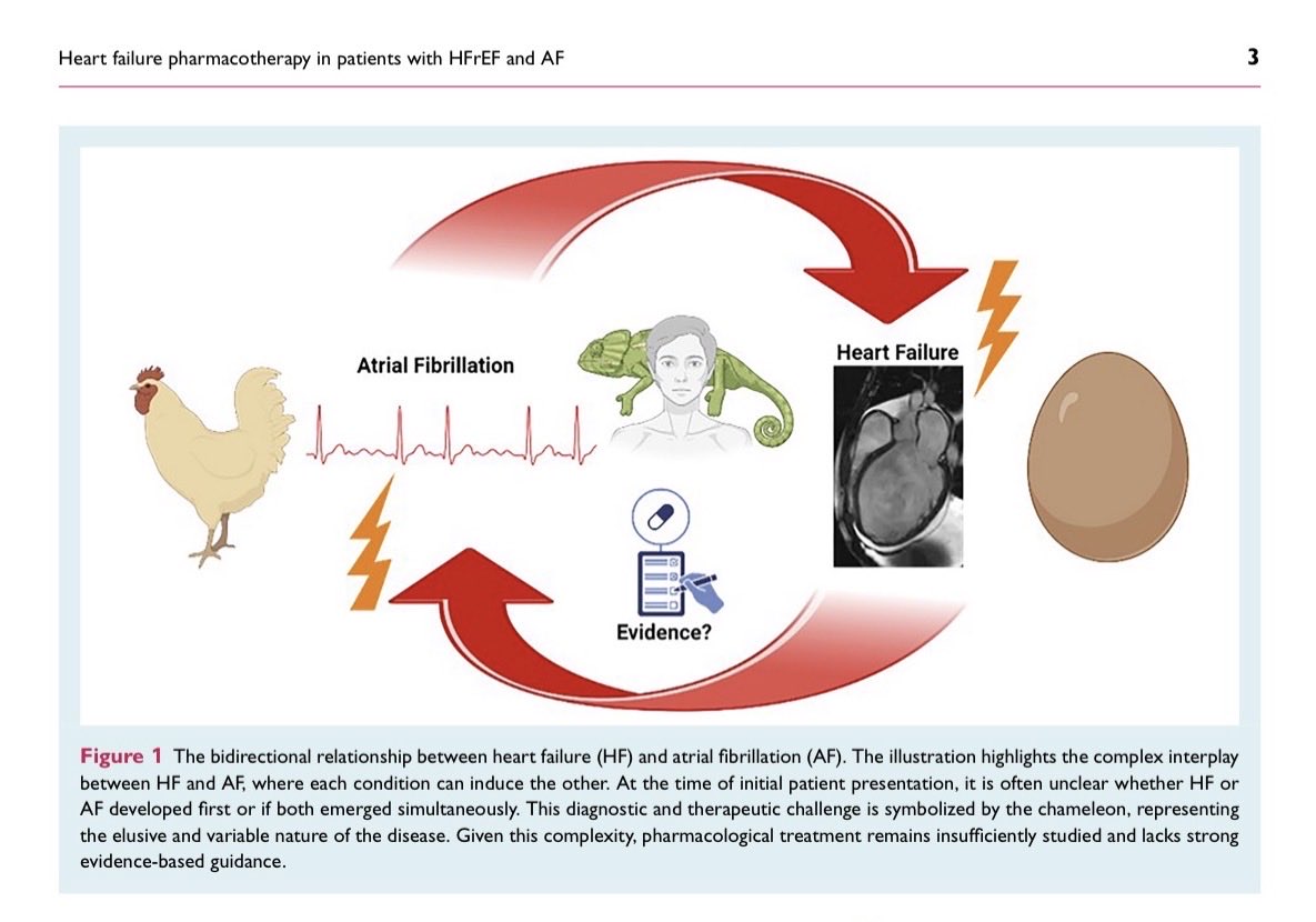 GiuseppeGalati_'s tweet image. 🔥 🚨 #EuropeanJournalofHeartFailure consensus statement. 
Heart failure pharmacotherapy for #HFrEF &amp;amp; concomitant #AtrialFibrillation: 
Review of evidence &amp;amp; call to action
@escardio  @ESC_Journals :
🍀 #ARNI #SGLT2i #MRA Evidence of benefits
🛡️ #BB challenging evidence of…