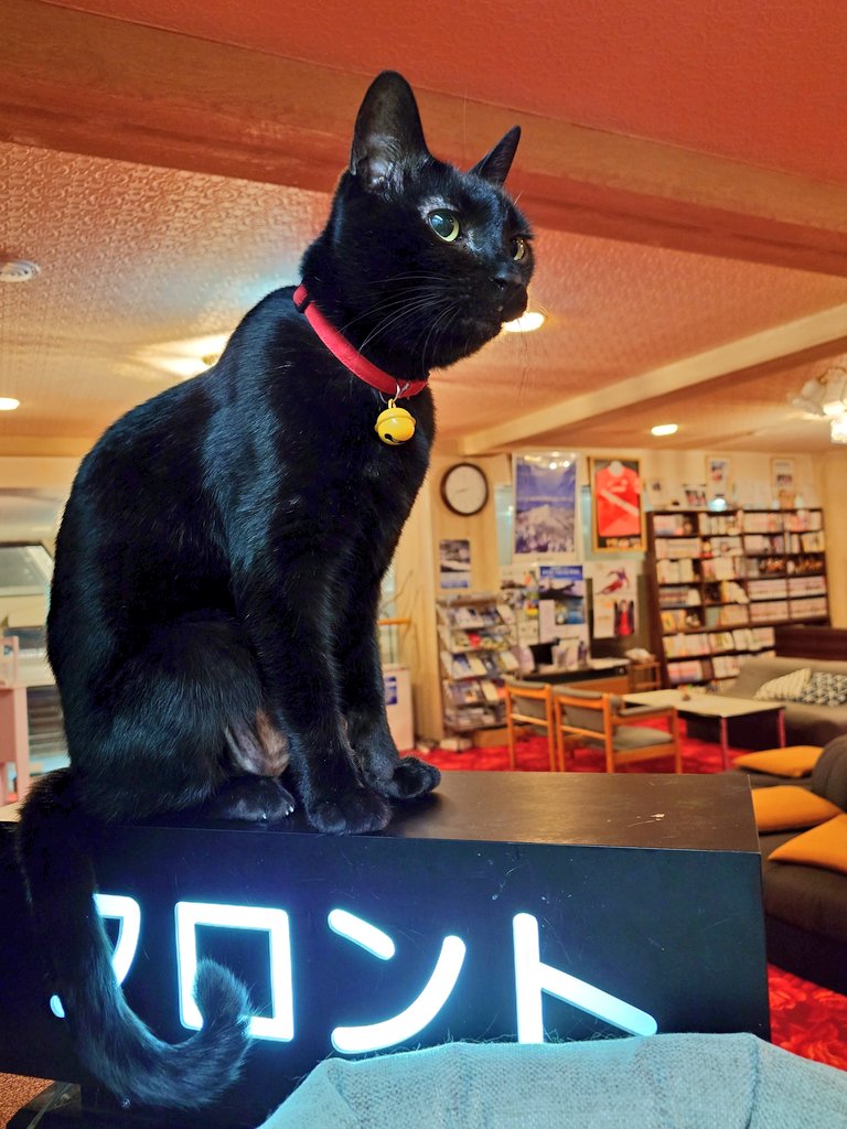 Mizuki@スポーツホテルシルバー志賀 on X