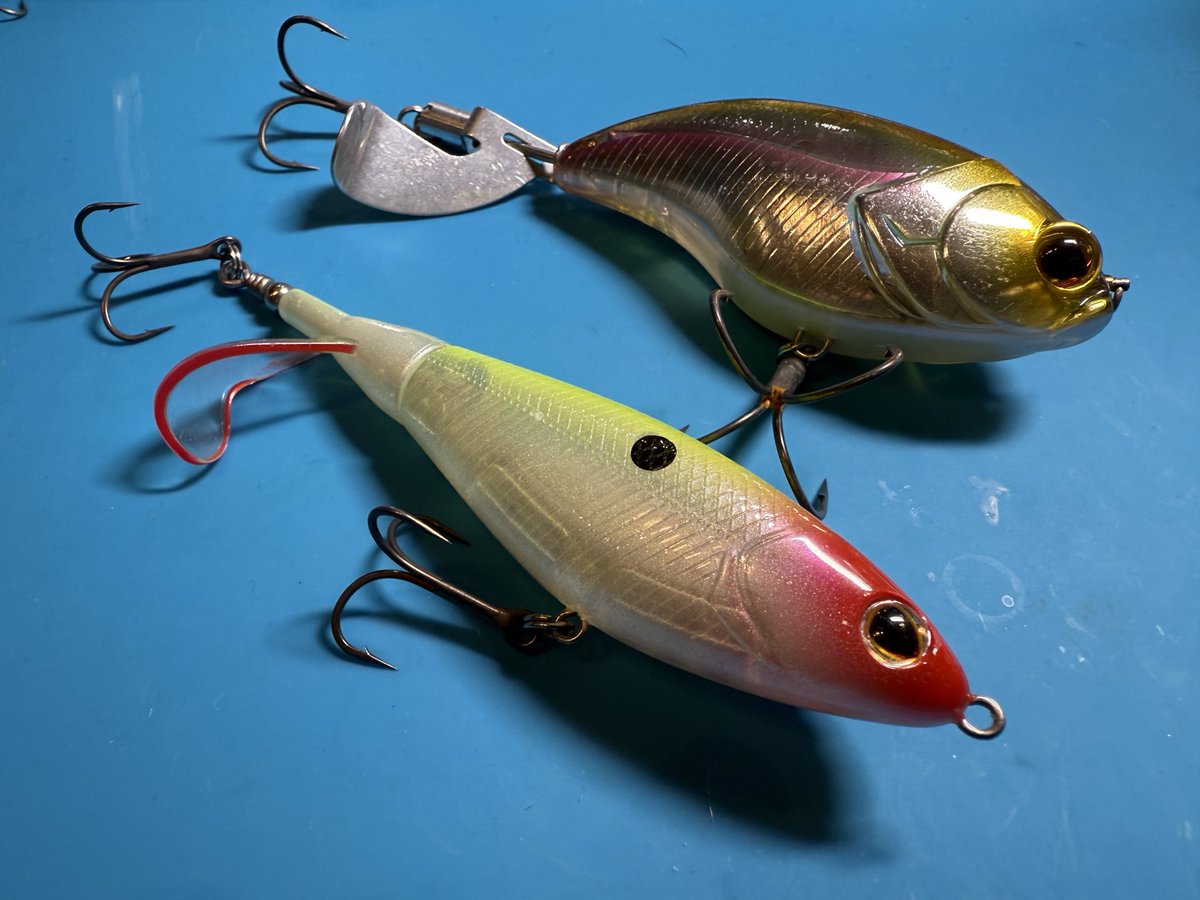 デッド オア アライブ テールスラップ デッド オア アライブ テールスラップ THE STRIKE skate and tackle