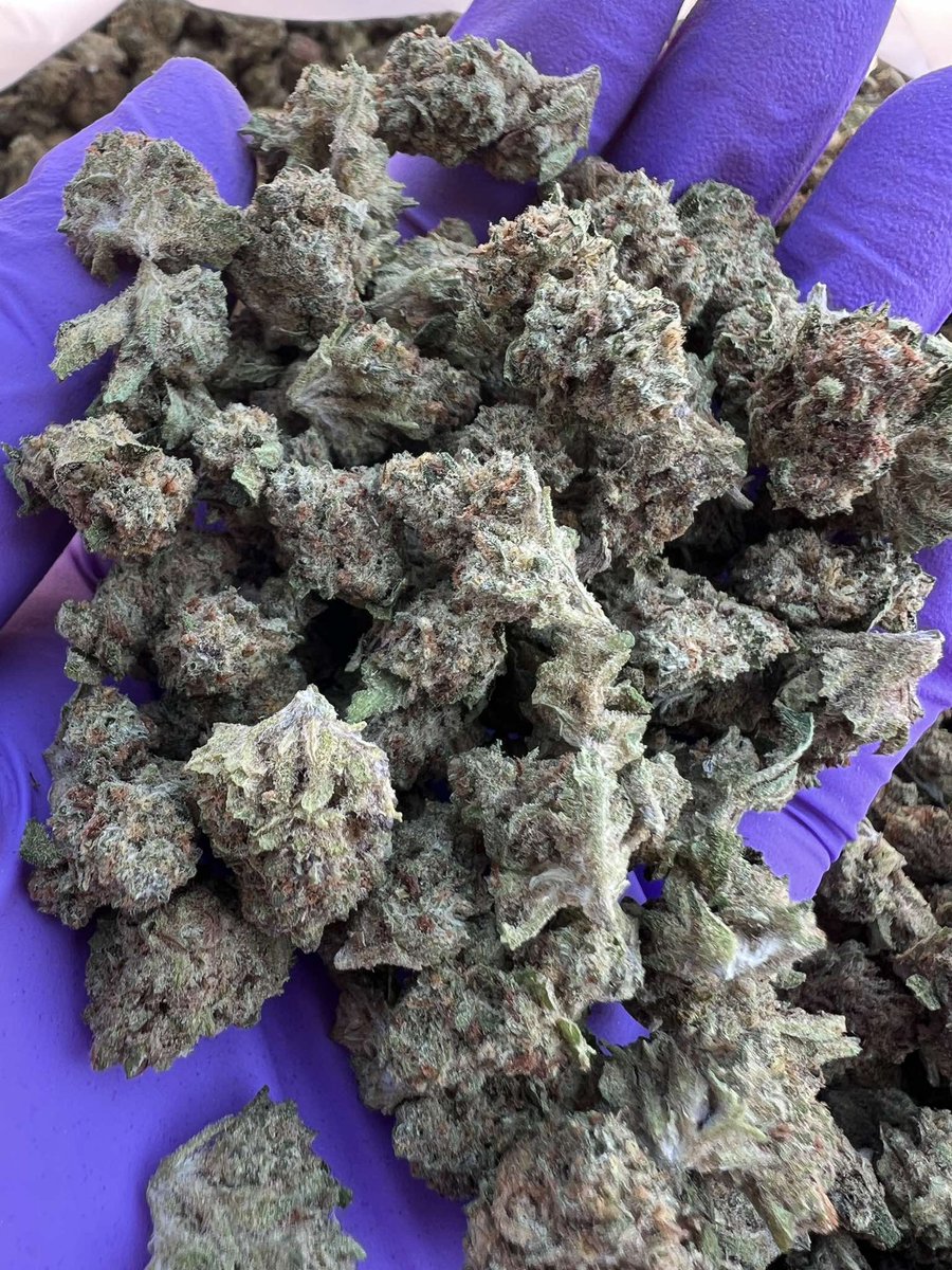 LIMITEDIII 🪽( สายเขียวของเข้าใหม่เพียบจ้า 🥦) tweet media