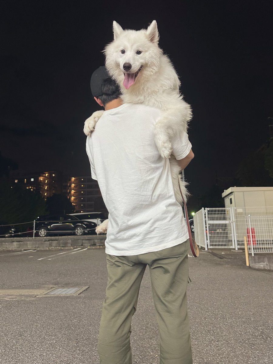 サモエド☆さだはる on X