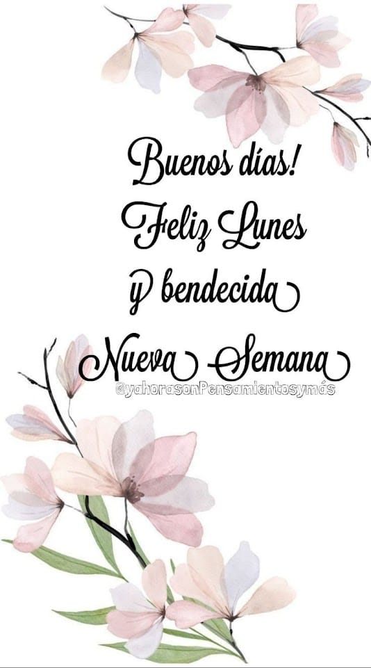 <a href="/AldoPTY/">Aldo Espinosa🇵🇦 Mt 8,5-11</a> <a href="/mirolda06/">Dayra Miranda Olmedo 🇵🇦</a> <a href="/Amarili19224594/">Amarilis Salazar</a> <a href="/AnaRaquelSaez/">Ana Raquel Saez</a> <a href="/BertaChanC/">Berta Chan</a> <a href="/AneldoArosemena/">Aneldo A. Arosemena B.</a> <a href="/BlueDPty/">Blue Demon</a> <a href="/manoloalvarezc/">Manolo Álvarez Cedeñ</a> <a href="/hildesucre/">Hilde</a> <a href="/PabloPueblo21/">Pablo Pueblo {Sólo el pueblo, salvará al pueblo}</a> <a href="/Ricardo34828953/">Ricardo Antonio Burbano Cano</a> <a href="/Karelin250605/">JUSTICIA</a> <a href="/elagentepty10/">🇵🇦Javier🇵🇦</a> Buenos días a todos