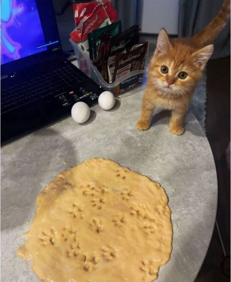 Out Of Context Animals (@cntxtanimai) on Twitter photo 