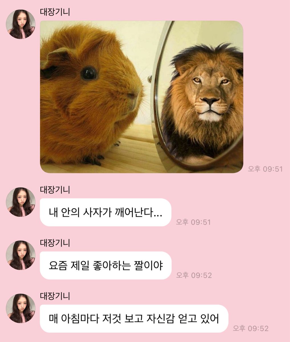 와진짜ㅈㄴ함박웃음지음
내기니가아침마다보면서힘얻는짤이래
