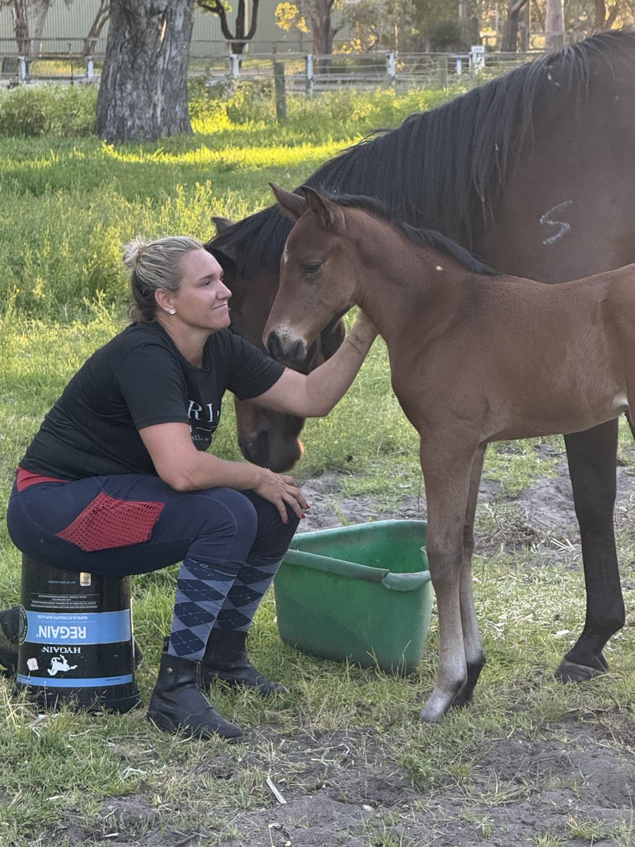 Easthope Racing tweet media