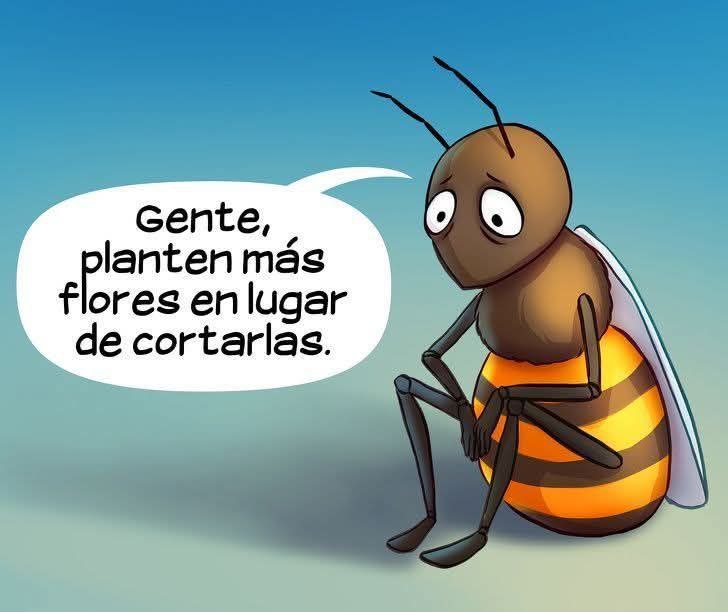 🌼 ¡Haz feliz a una abeja, planta una flor! 🐝