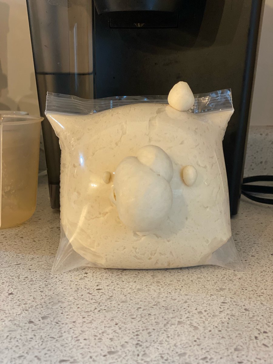 blueheadchk's tweet image. Yo X peeps! 😝 Made dough this morn and it turned into this wild anime blob—shocked to be up at 7 AM! 💤🎃 Big vibes from @EternaStarlight’s cute fail—check it! Got a kitchen flop? Drop a pic! 🍞✨ #BakingBlunders #AnimeVibes