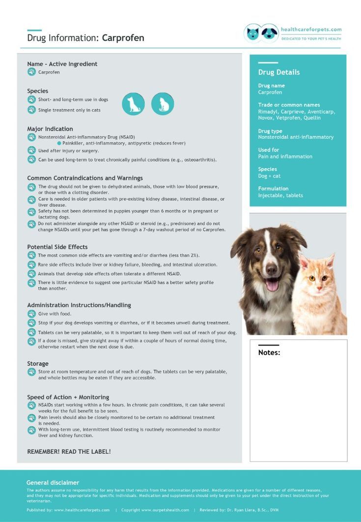 HealthCare_Pets's tweet photo. Is your dog or cat on #Carprofen? Consider this drug information sheet written and reviewed by veterinarians.

To download this and other drug info sheets: https://t.co/YFcNn6XU6y
.
.
.
#Rimadyl #Carprieve #Aventicarp #Novox #Vetprofen #Quellin #NSAID #pethealth #petmedication https://t.co/XOB2iLwYIj