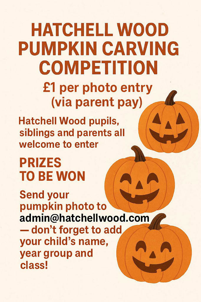 Hatchell Wood (@hatchellwood) on Twitter photo 