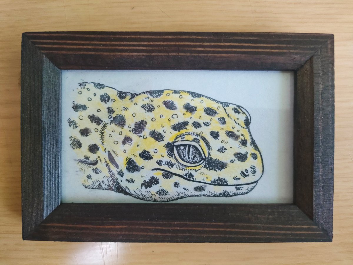 ひいらぎ−ペン画 (@helmmira330) / Posts / X