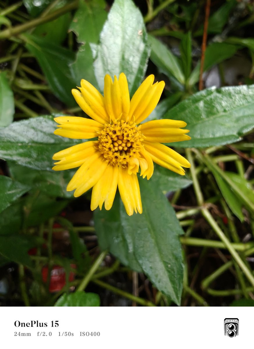 mrtechsingh's tweet image. #shotononeplus