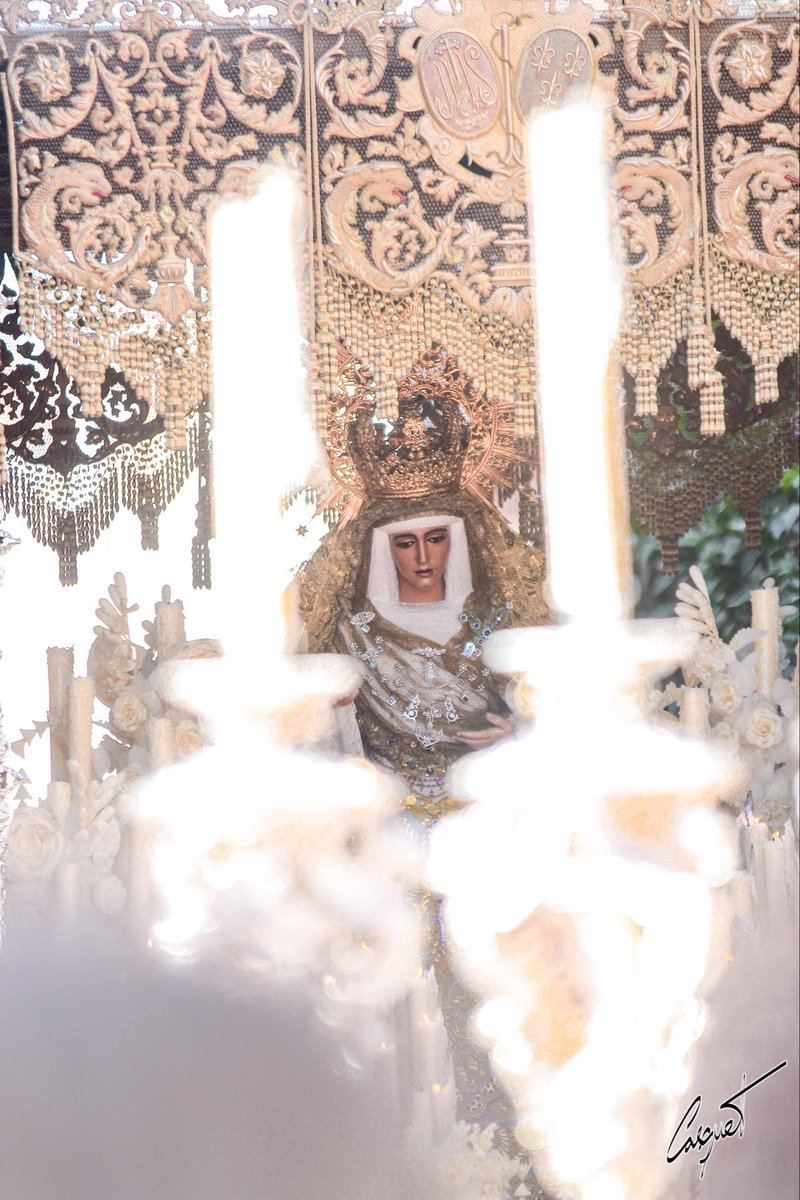 JcCasquet's tweet image. #LaMisiónDeLaEsperanza | 𝐋𝐚 𝐥𝐮𝐳 𝐝𝐞 𝐥𝐚 𝐄𝐬𝐩𝐞𝐫𝐚𝐧𝐳𝐚.

#TDSCofrade #EsperanzadeTriana

cc: @EspDeTriana @BMLasCigarreras 

📷 @JcCasquet 

fotografiacasquet.blogspot.com/2025/10/trasla…