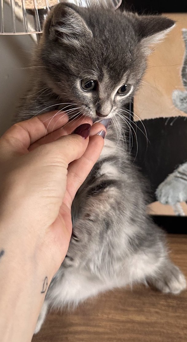 yurumeyi ogreniyo😭