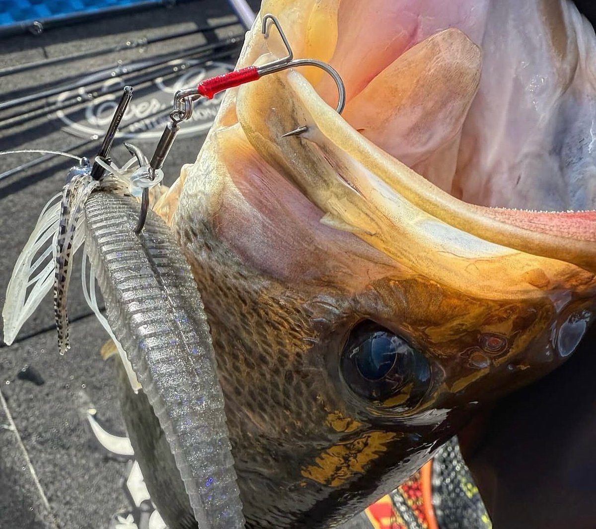 ぽぽぽ ぽぽ ZX Fury 名作を融合した最後のコラボレーションモデル