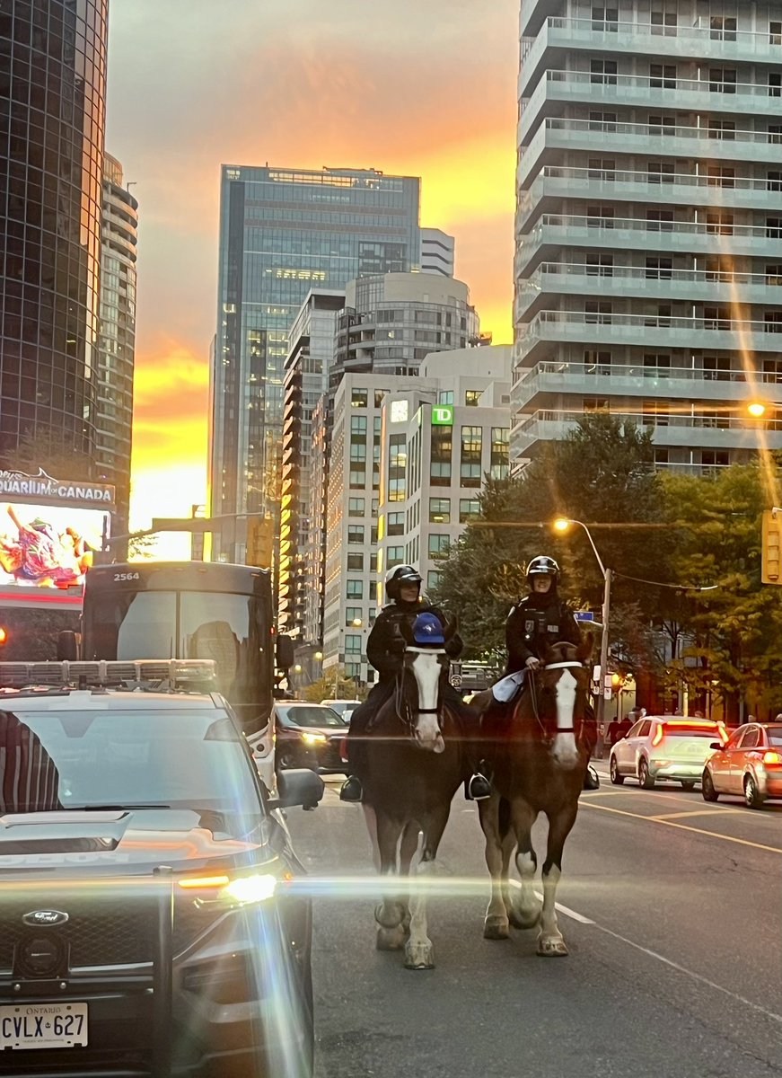 Game day! Looking forward to cheering on our <a href="/BlueJays/">Toronto Blue Jays</a> with the rest of Canada 🇨🇦 tonight. #GoJaysGo #PHBlueJay #toronto #policehorse #ready ⚾️