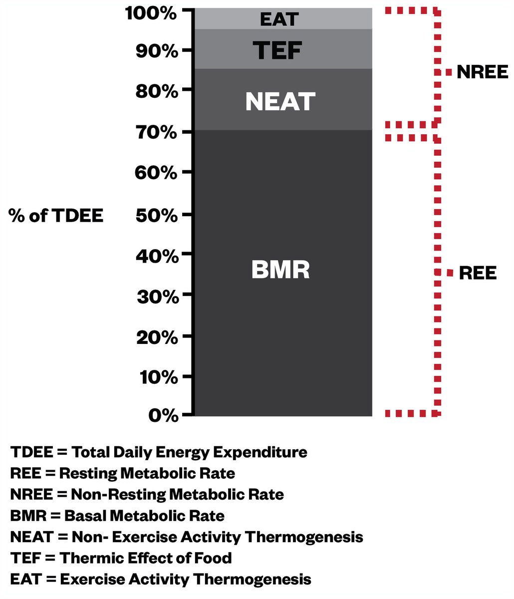 Seems people still don’t get that burning fat &amp; losing fat are not the same thing.

You can’t lose fat without a calorie deficit across 24hrs.

So I’m dropping this again.

CALORIE DEFICIT EXPLAINED:

Your body burns a certain number of calories daily.

This is defined as TDEE