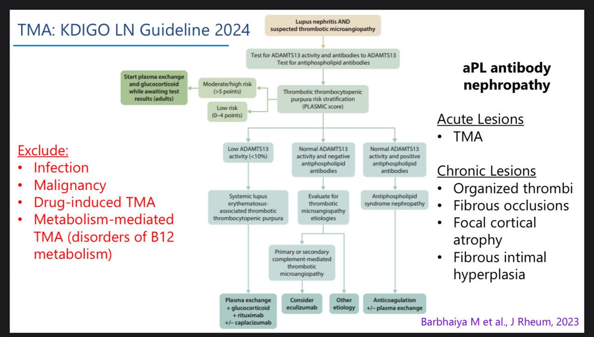 dr_immuno29's tweet photo. 🧵 ACR25 | Lupus Nephritis: Inadequate vs Refractory 💧
Maria Dall’Era | UCSF

⸻

1️⃣ Definitions (ACR 2024):
•🔸 Inadequate response — No CR/PR by 6–12 mo
•🔸 Refractory LN — Failed ≥2 proper 6-mo regimens

⸻

2️⃣ Before calling it “refractory” 👉 Re-check:
✔️ Adherence
✔️ Dosing & UPCR accuracy
✔️ Non-immune CKD factors (HTN, obesity, salt/protein intake)
✔️ Mimics – TMA, aPL-LN, lupus podocytopathy, fibrosis

⸻

3️⃣ ACR Pearl 💡
🔁 Always review adherence & dose before escalation
📊 Only ~20% stay adherent long-term!

⸻

4️⃣ Repeat Biopsy 🔬 When?
Initial Dx | Partial response | Flare | CKD progression | Withdrawal | Protocol

🎯 To uncover mimics — TMA, vasculitis, fibrosis

⸻

5️⃣ Vascular Lesions 🧠
Seen in ~80% LN biopsies
→ Arteriolosclerosis, immune deposits, necrotizing vasculopathy, TMA, vasculitis

⸻

6️⃣ Complement-Mediated TMA ⚡
Test CFH/CFI/C3 genes + auto-Abs
Start Eculizumab/Ravulizumab ASAP
💉 Vaccinate + give prophylactic antibiotics

⸻

Takeaway 🔹
🩺 Check adherence. Repeat biopsy. Don’t rush to label “refractory.”

#ACR25 #LupusNephritis #ACRAmbassador #RheumTwitter
