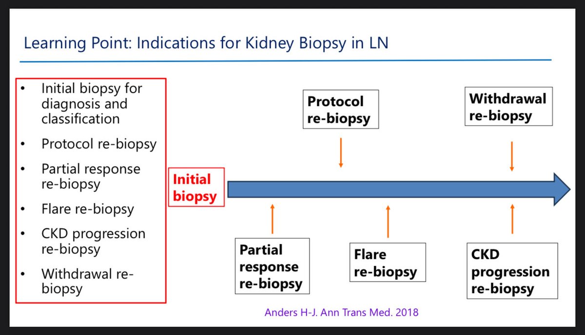 dr_immuno29's tweet photo. 🧵 ACR25 | Lupus Nephritis: Inadequate vs Refractory 💧
Maria Dall’Era | UCSF

⸻

1️⃣ Definitions (ACR 2024):
•🔸 Inadequate response — No CR/PR by 6–12 mo
•🔸 Refractory LN — Failed ≥2 proper 6-mo regimens

⸻

2️⃣ Before calling it “refractory” 👉 Re-check:
✔️ Adherence
✔️ Dosing & UPCR accuracy
✔️ Non-immune CKD factors (HTN, obesity, salt/protein intake)
✔️ Mimics – TMA, aPL-LN, lupus podocytopathy, fibrosis

⸻

3️⃣ ACR Pearl 💡
🔁 Always review adherence & dose before escalation
📊 Only ~20% stay adherent long-term!

⸻

4️⃣ Repeat Biopsy 🔬 When?
Initial Dx | Partial response | Flare | CKD progression | Withdrawal | Protocol

🎯 To uncover mimics — TMA, vasculitis, fibrosis

⸻

5️⃣ Vascular Lesions 🧠
Seen in ~80% LN biopsies
→ Arteriolosclerosis, immune deposits, necrotizing vasculopathy, TMA, vasculitis

⸻

6️⃣ Complement-Mediated TMA ⚡
Test CFH/CFI/C3 genes + auto-Abs
Start Eculizumab/Ravulizumab ASAP
💉 Vaccinate + give prophylactic antibiotics

⸻

Takeaway 🔹
🩺 Check adherence. Repeat biopsy. Don’t rush to label “refractory.”

#ACR25 #LupusNephritis #ACRAmbassador #RheumTwitter