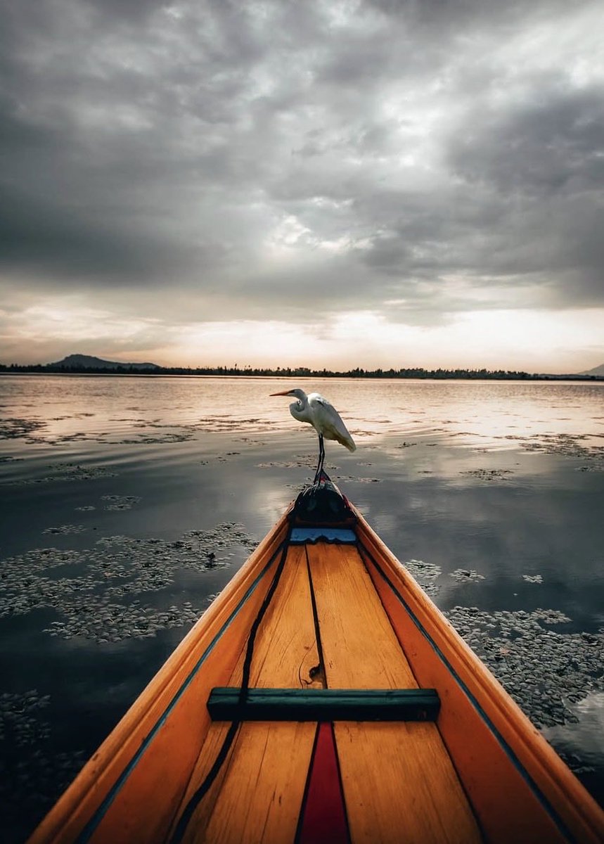 tweetbyfurkan's tweet image. Go gallery when you are bored . Go different when you are stuck . Go extra mile when you achieve something . Photos from the Kashmir