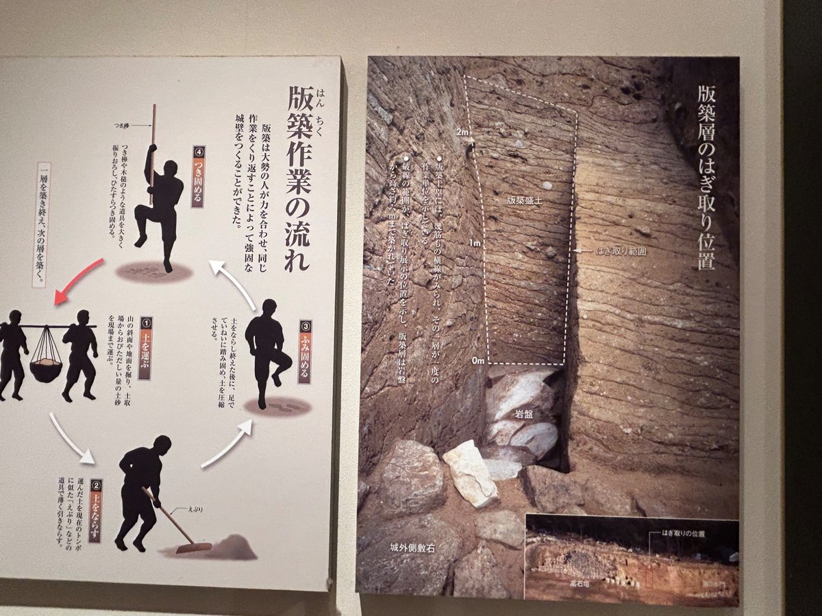 王位の切り倒し すき込み  英語 FAB 王位の切り倒し/Felling of the Crown 英語 - メルカリ