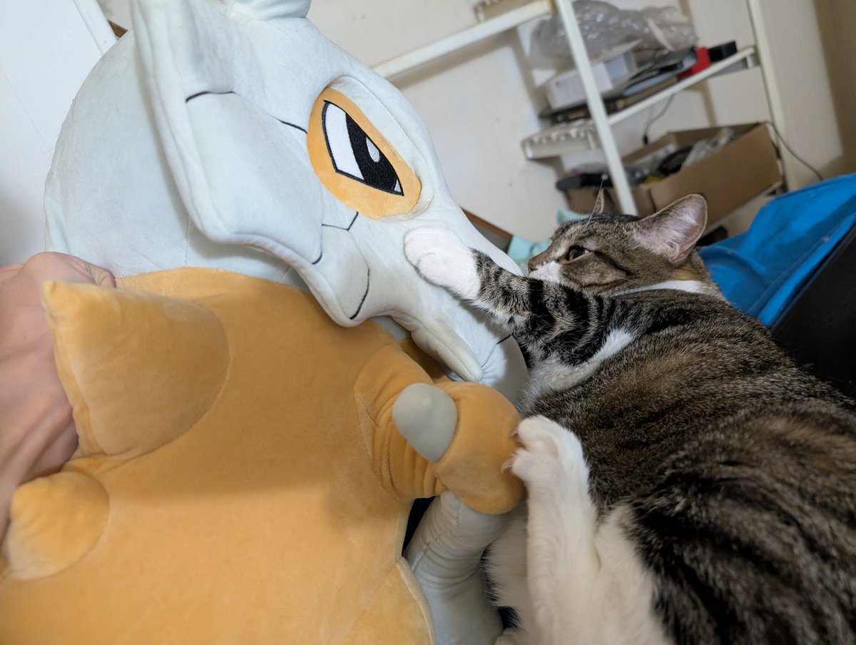 Emmy used scratch! 

It's not very effective...