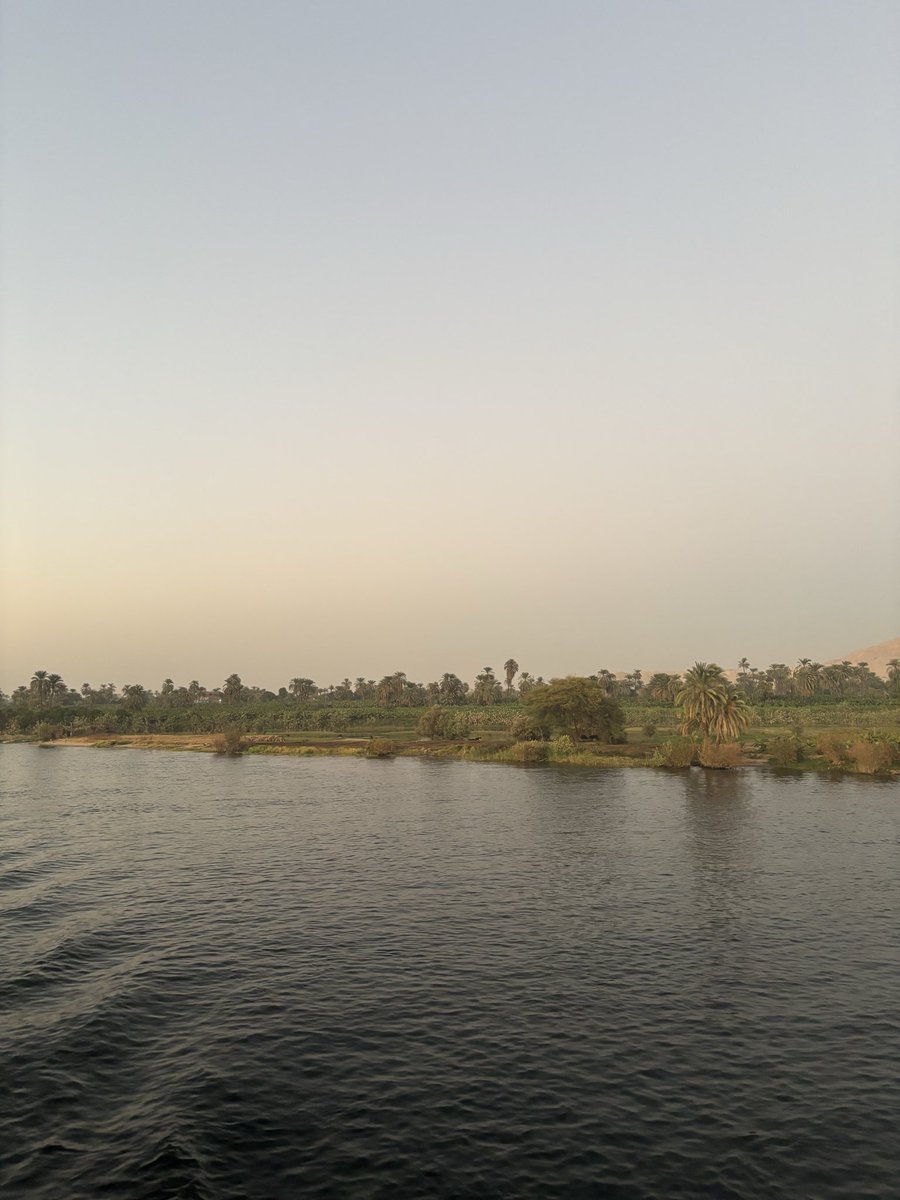 人生で絶対に行きたかった国、エジプトに来てます🇪🇬