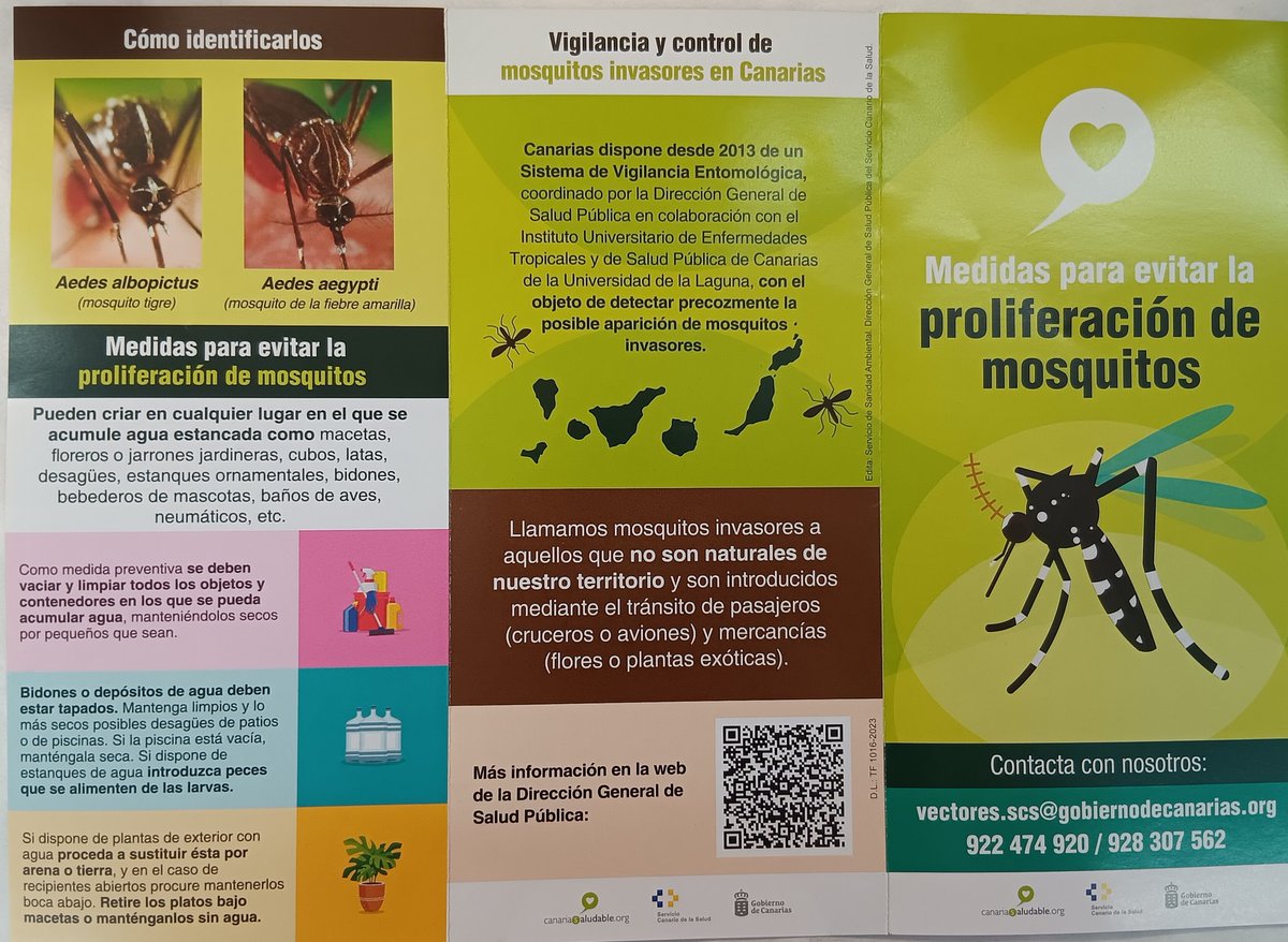 EntomologiaT's tweet photo. 📢 Si observas mosquitos poco habituales o sufres picaduras sospechosas, avísanos 🦟
📩 vectores.scs@gobiernodecanarias.org
Más información sobre vigilancia y prevención en el folleto de Salud Pública de Canarias 🌿
#Canarias #SaludPública #MosquitoTigre
#Aedesaegypti https://t.co/2W7pQmfYBy