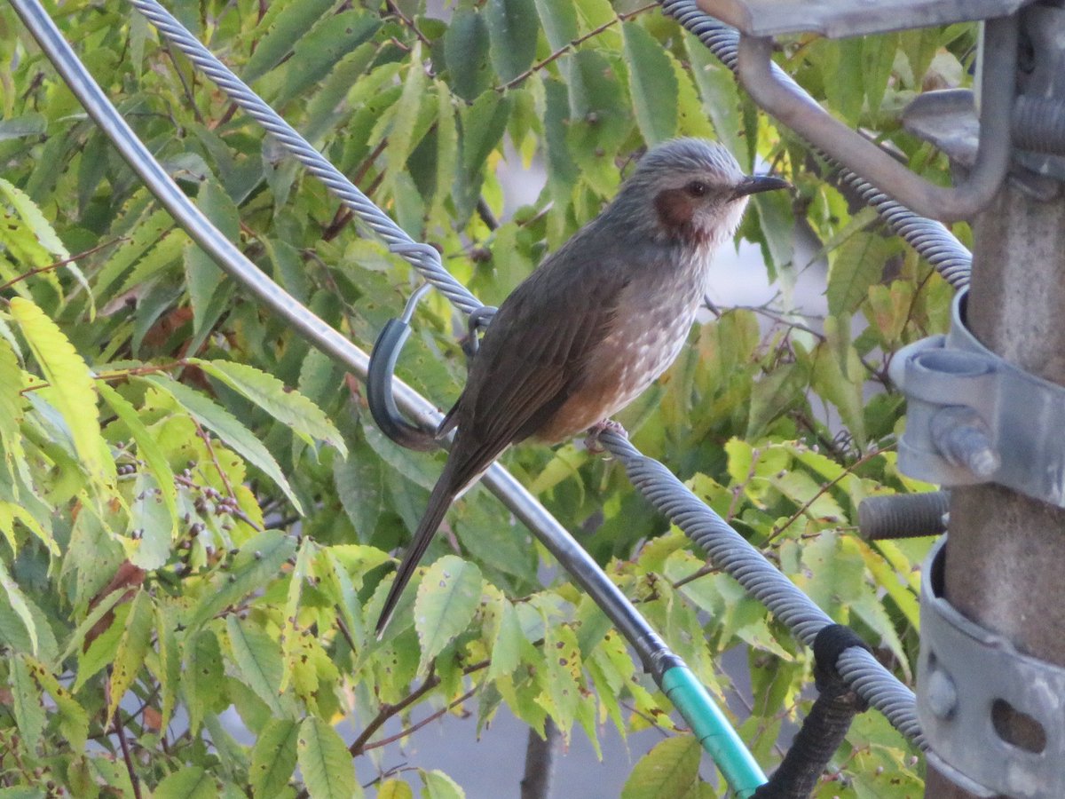 かずちん (@kazuchin0801) / Posts / X