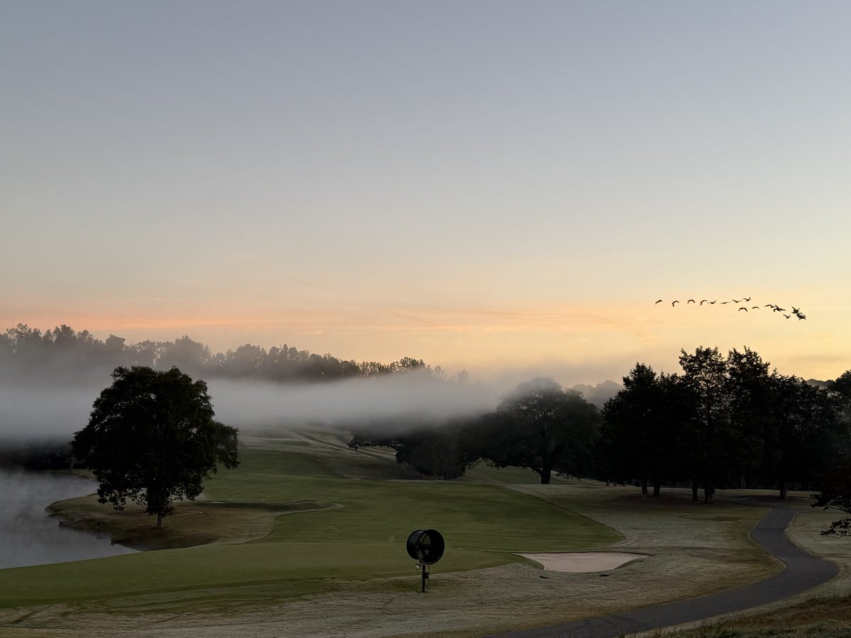 1908 Turf tweet media