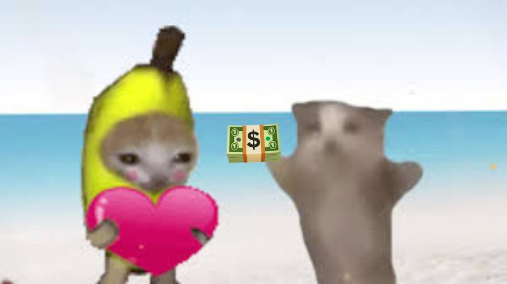 저: 돈
선생님: 회지