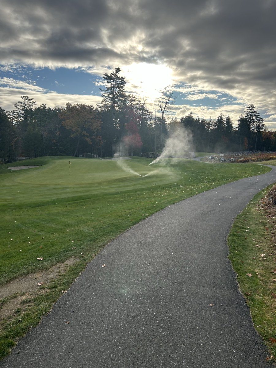 phil@belgrade tweet media