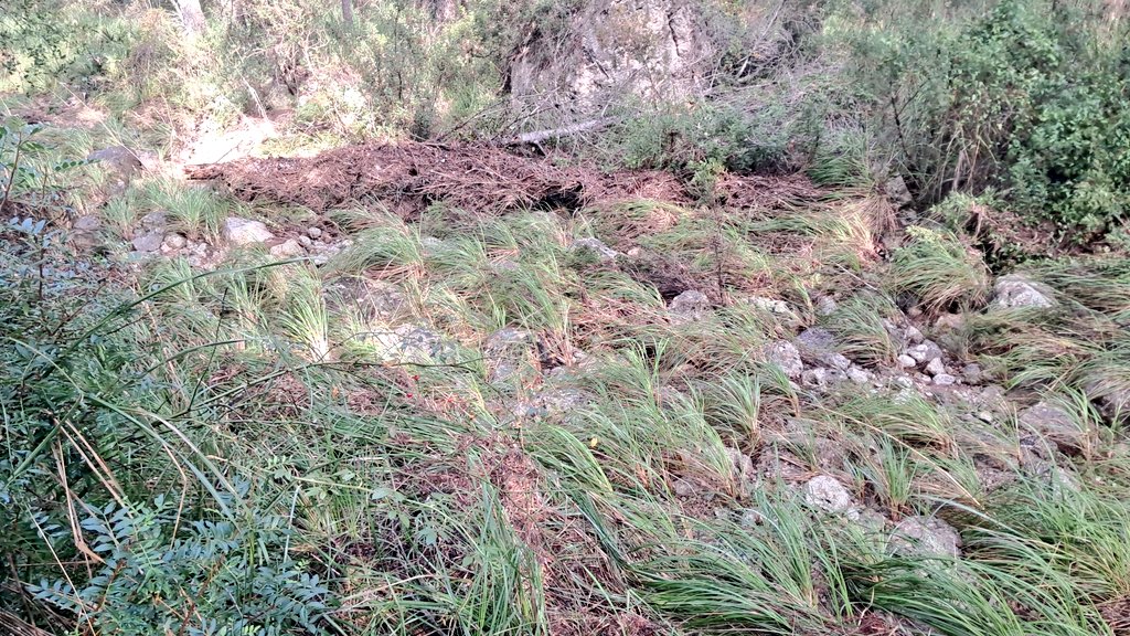 Vakapiupiuu's tweet image. 3 kms més avall a la Riera de Jafre vaig mesurar uns 38 mm i el rastre de la rierada era evident, pujada de 120 cm i 4/5 m ample! Prop de la Penya del Duc #Ribes @meteo_garraf @JordiEroles