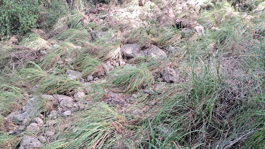 Vakapiupiuu's tweet image. 3 kms més avall a la Riera de Jafre vaig mesurar uns 38 mm i el rastre de la rierada era evident, pujada de 120 cm i 4/5 m ample! Prop de la Penya del Duc #Ribes @meteo_garraf @JordiEroles