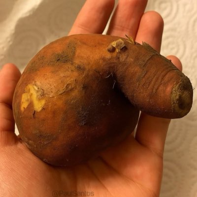 Subo mo to tweet media