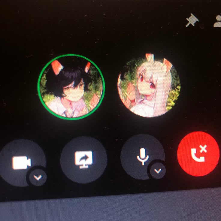 athena 🐾 tweet media