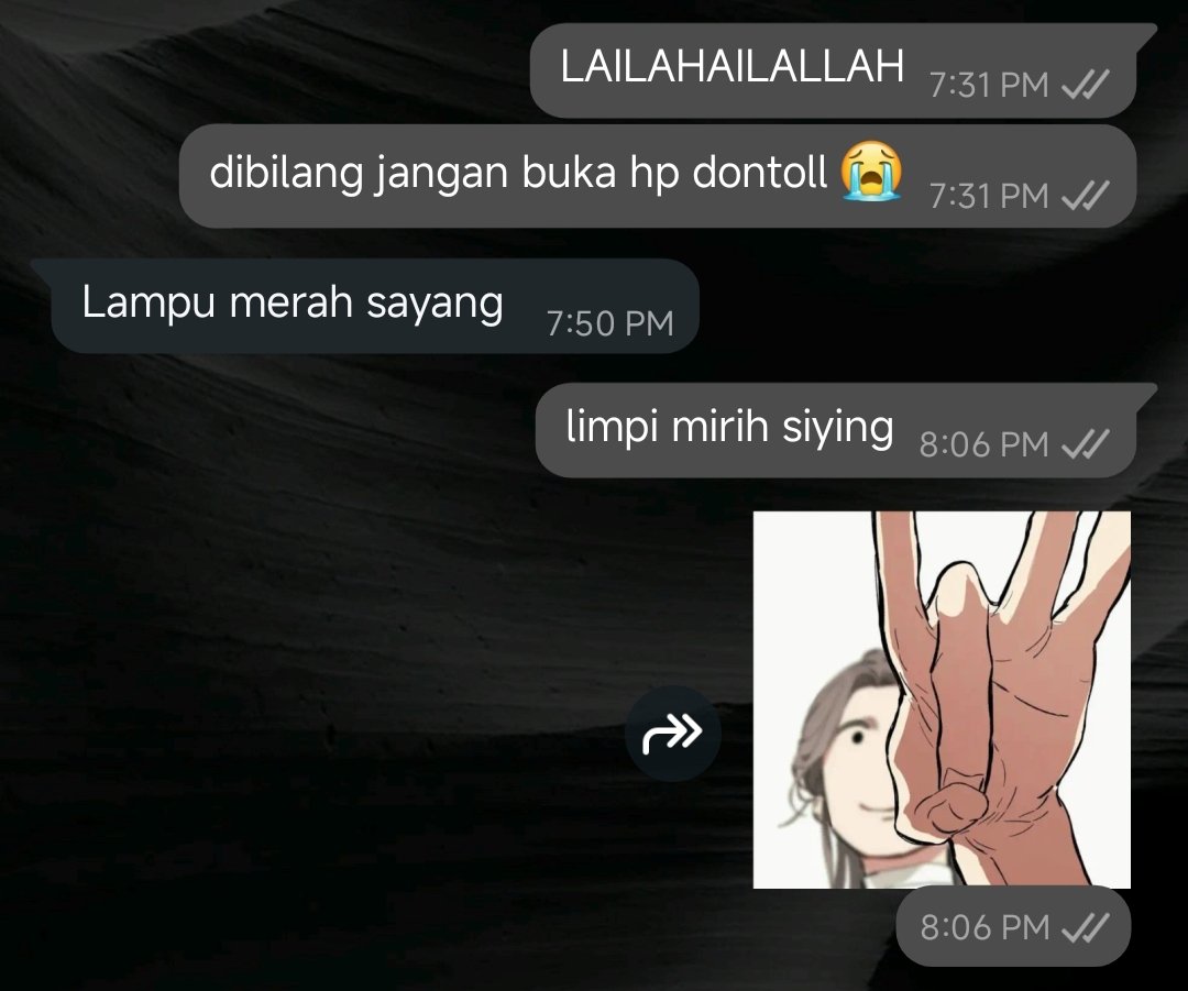 athena 🐾 tweet media