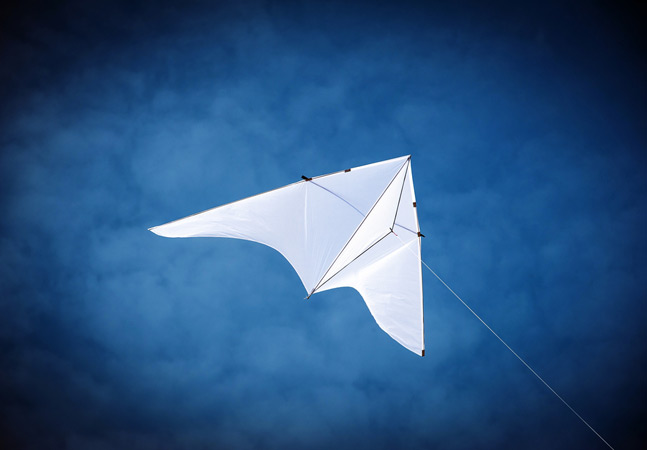 Kite AI cons:
It’s an interesting merge of AI + blockchain + economic infrastructure, trying to enable a layer where AI agents don’t just answer questions, but act and transact.
The backing (PayPal Ventures, General Catalyst, etc) gives it some credibility in the space.
<a href="/GoKiteAI/">KITE AI</a>