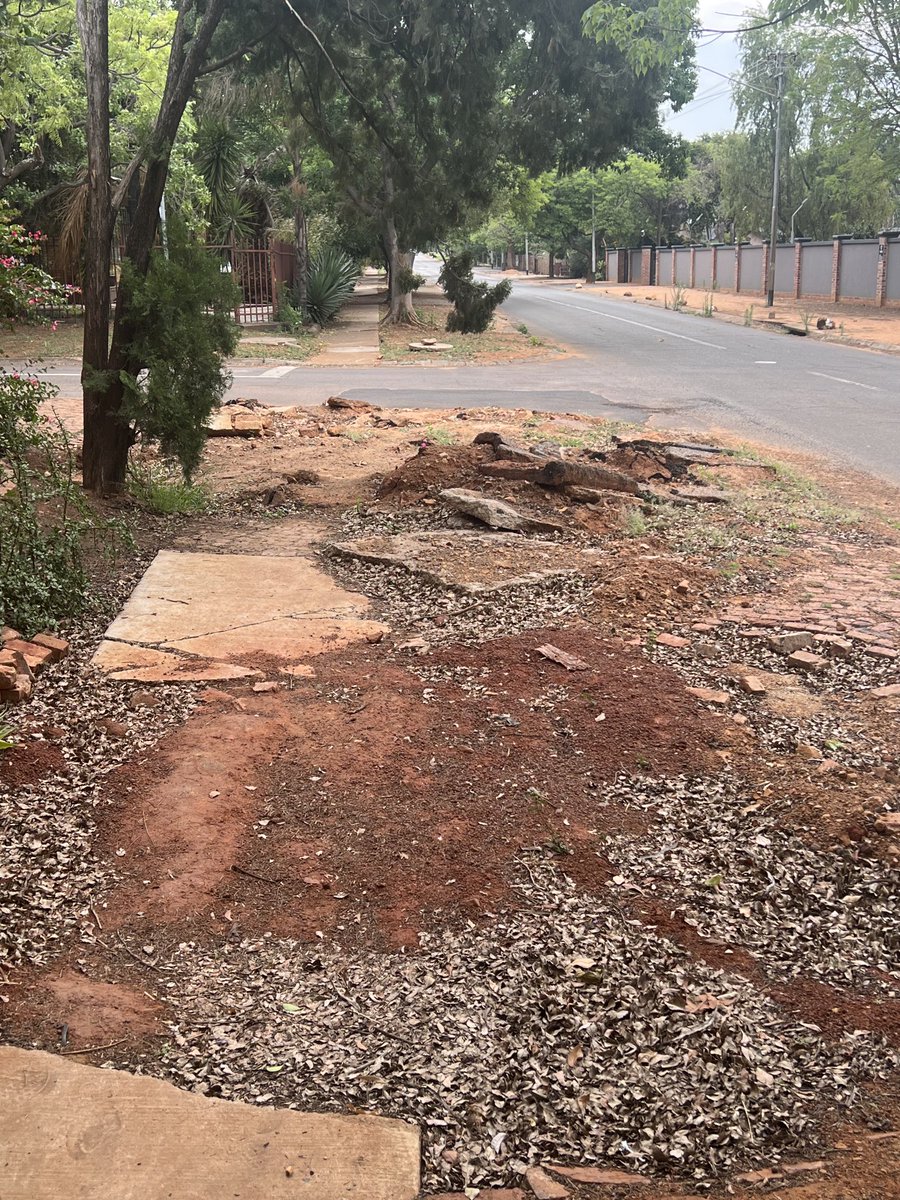 Taken on my walk today! Tell us again that black people have the same work ethic as whites?
You can’t debate turn crank up the volume we can’t hear you 🤷🏻
True that blacks don’t build, just break down! We are definitely not the same