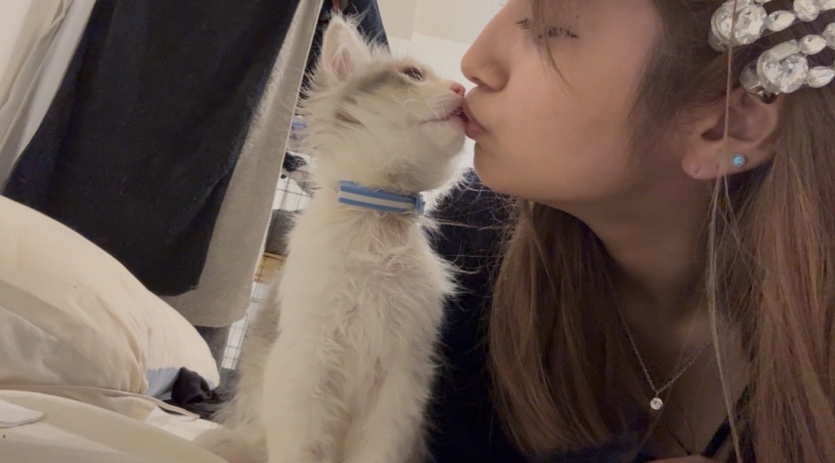 𝕃𝕚𝚕𝕪 (@_____Lily2230) / Posts / X