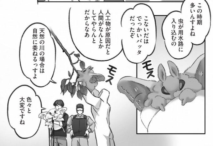 モスのいる日常/LIFE with MOTH(@ootani_eiti) さんのマンガ一覧