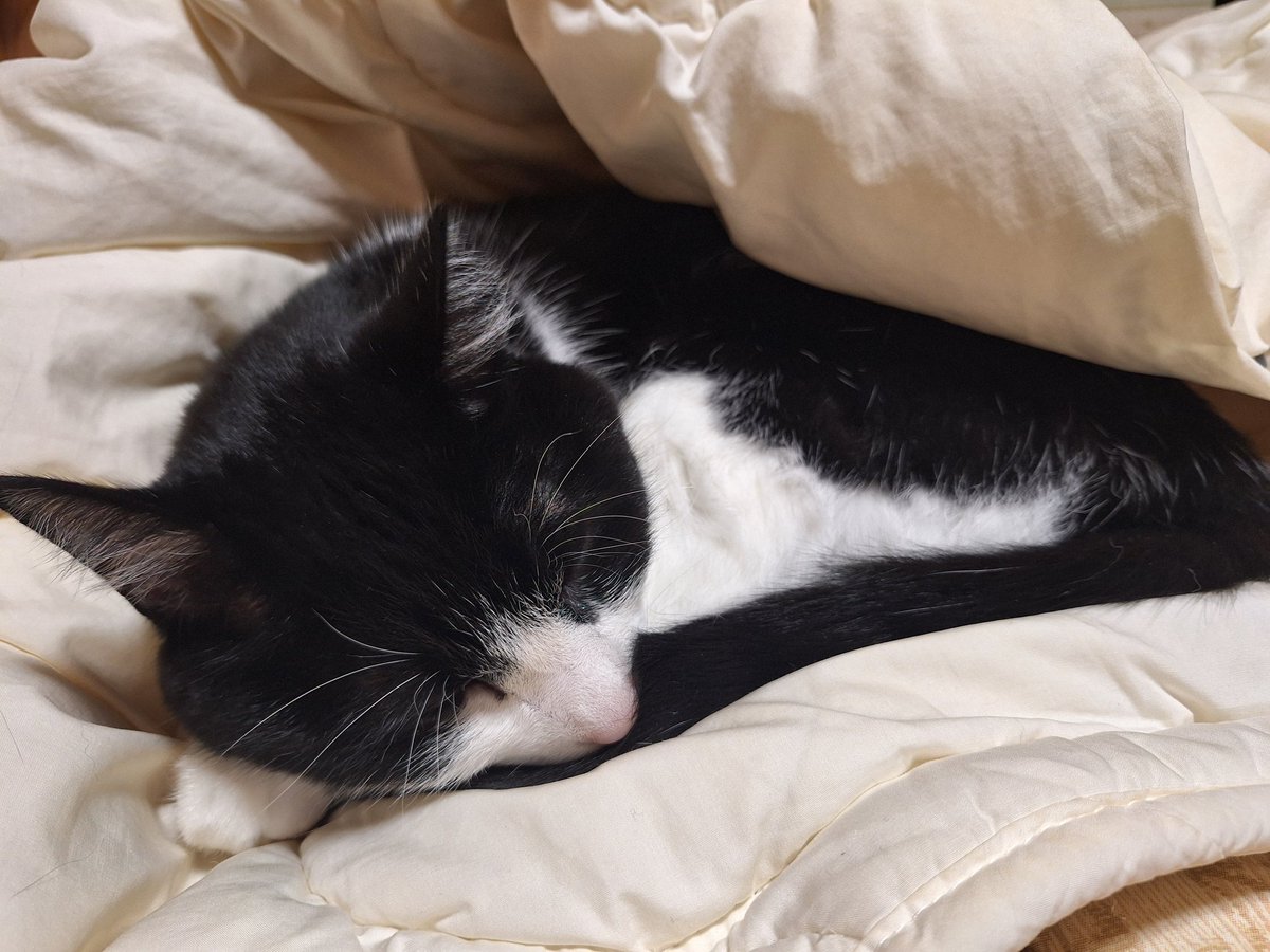 こうや様 浩也(こうや) (@koya927) / Posts / X