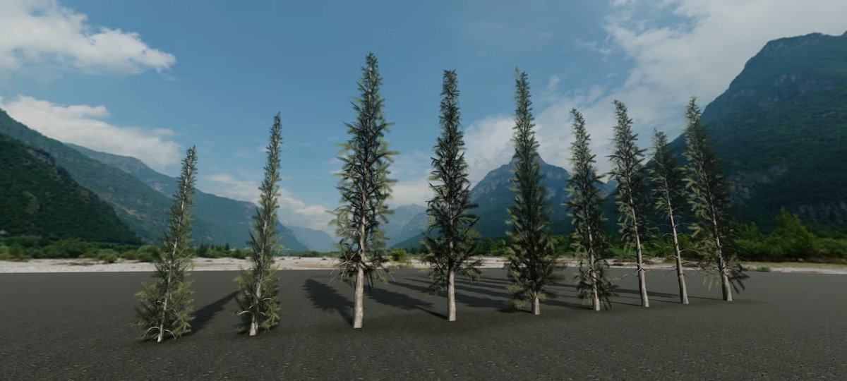 dmproduction24's tweet image. Roblox Realistic Pine Tree Pack – High-Quality Nature Assets
#Roblox #robloxgame #robloxdvs