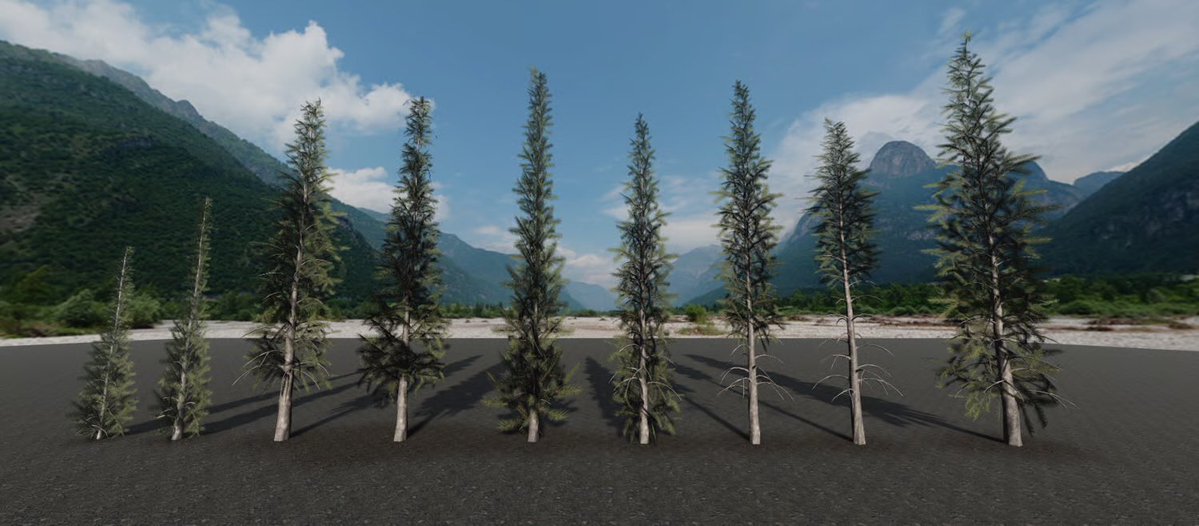 dmproduction24's tweet image. Roblox Realistic Pine Tree Pack – High-Quality Nature Assets
#Roblox #robloxgame #robloxdvs