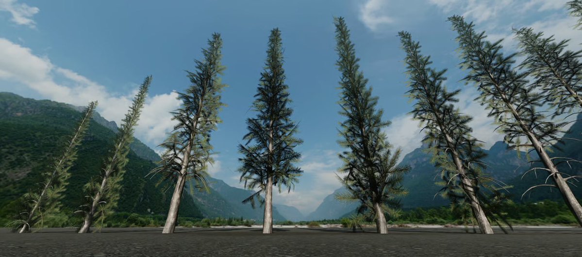 dmproduction24's tweet image. Roblox Realistic Pine Tree Pack – High-Quality Nature Assets
#Roblox #robloxgame #robloxdvs