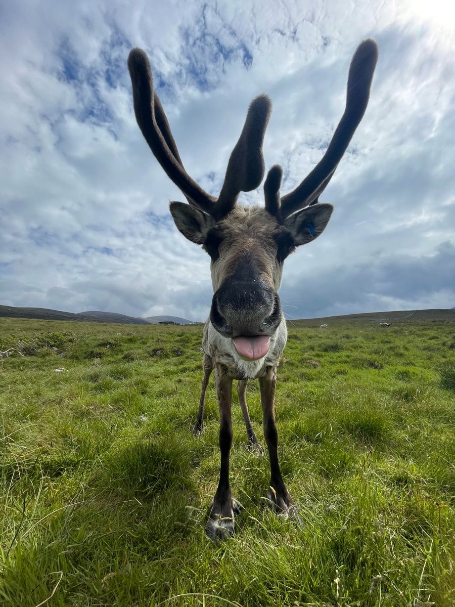 _Nevergreen's tweet image. The last thing you see before I get you