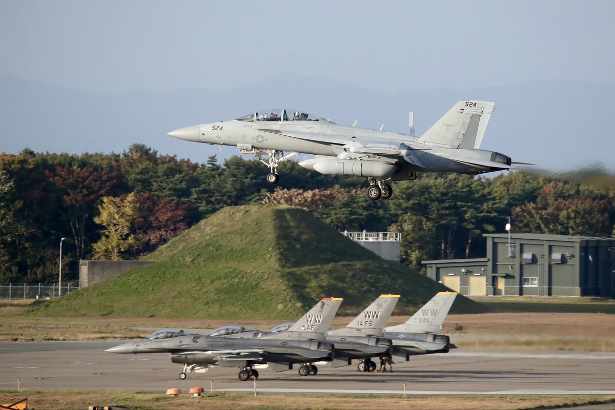 _tatezou's tweet photo. 2025/10/27 #航空自衛隊 #三沢基地 (#RJSM) #SM_watcher
EA-18G(#VAQ135) #BlackRavens https://t.co/pwpF6IbgVt